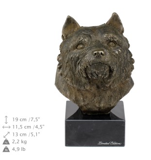 Norwich Terrier głowa na kamieniu Art-Dog